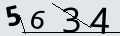 verifycode